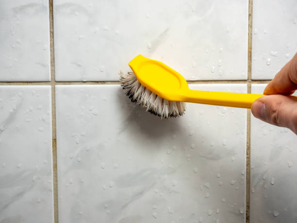 Best Fast Mold Removal  in Medford, NY