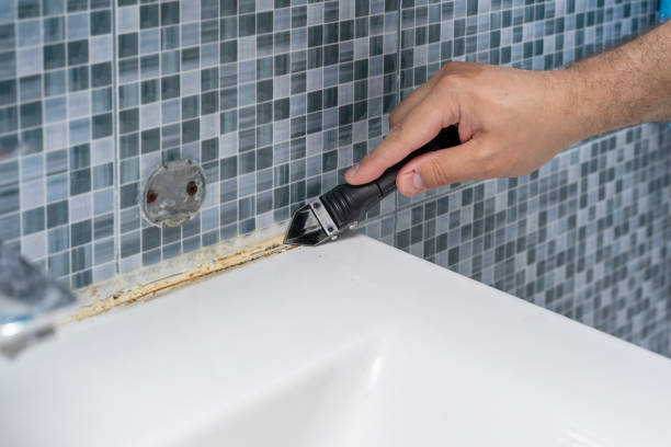 Best Attic Mold Removal  in Medford, NY